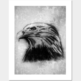 Eagle Head Posters and Art